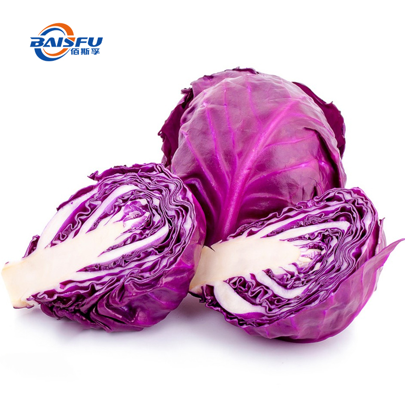 05--甘蓝红-Red-Cabbage-Color-03.jpg