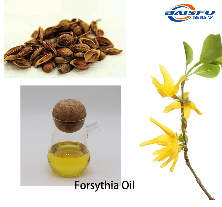 Forsythia Oil 2.png