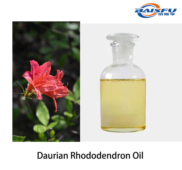 Daurian Rhododendron Oil.png