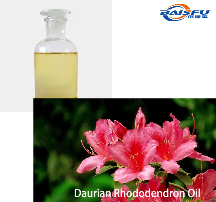 Daurian Rhododendron Oil 2.png