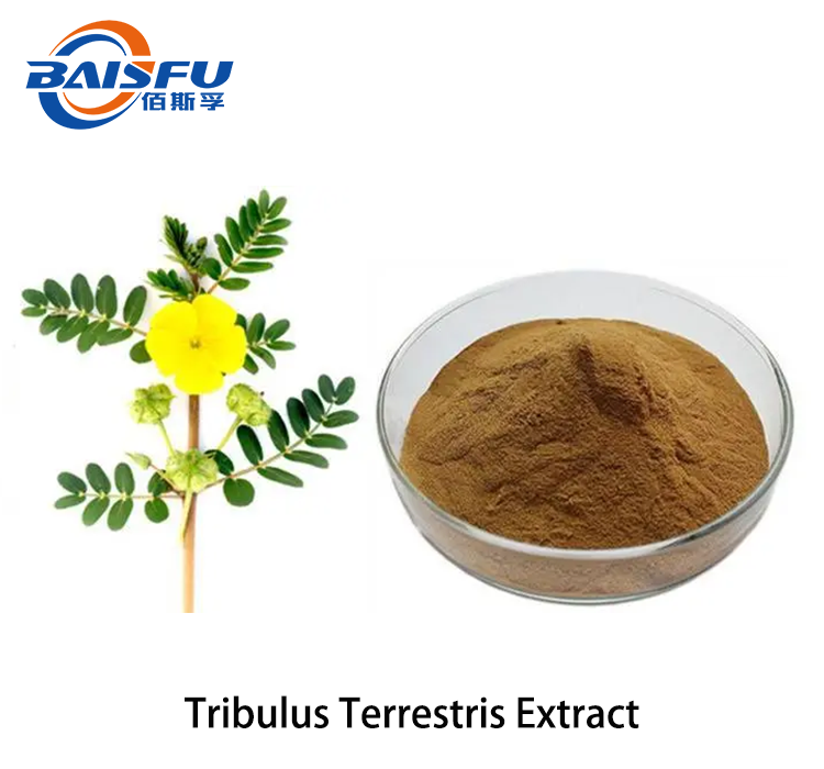 Tribulus Terrestris Extract 2.png