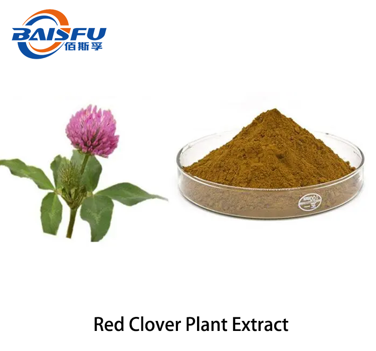 Red Clover Plant Extract 2.png