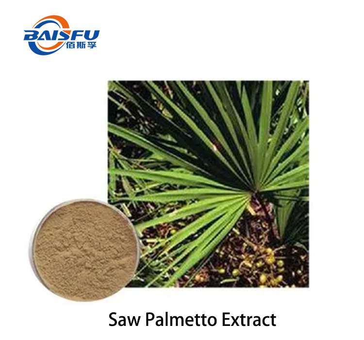 Saw Palmetto Extract.png