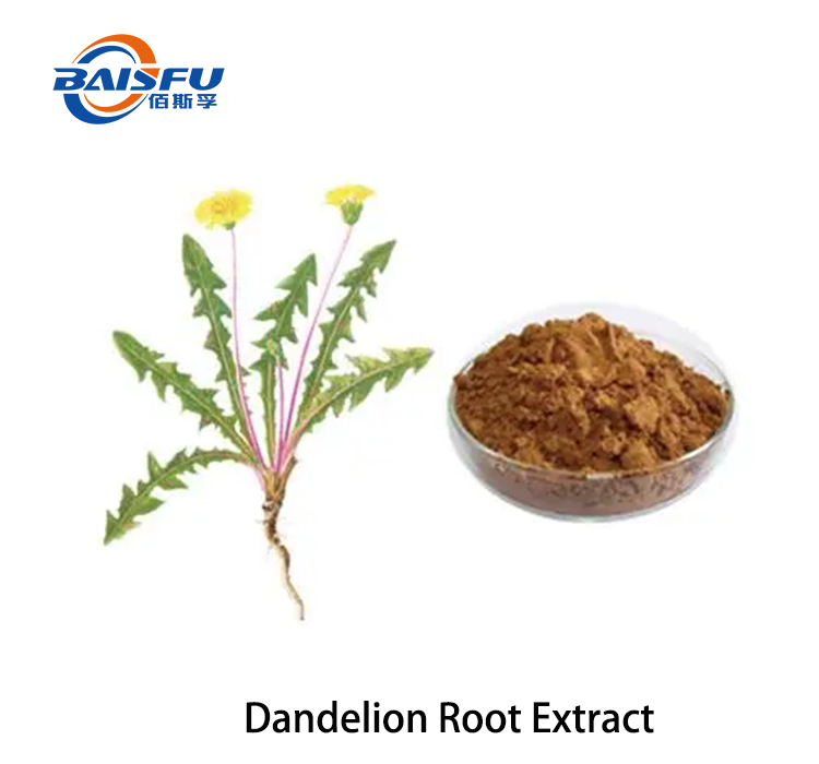 Dandelion Root Extract 2.png