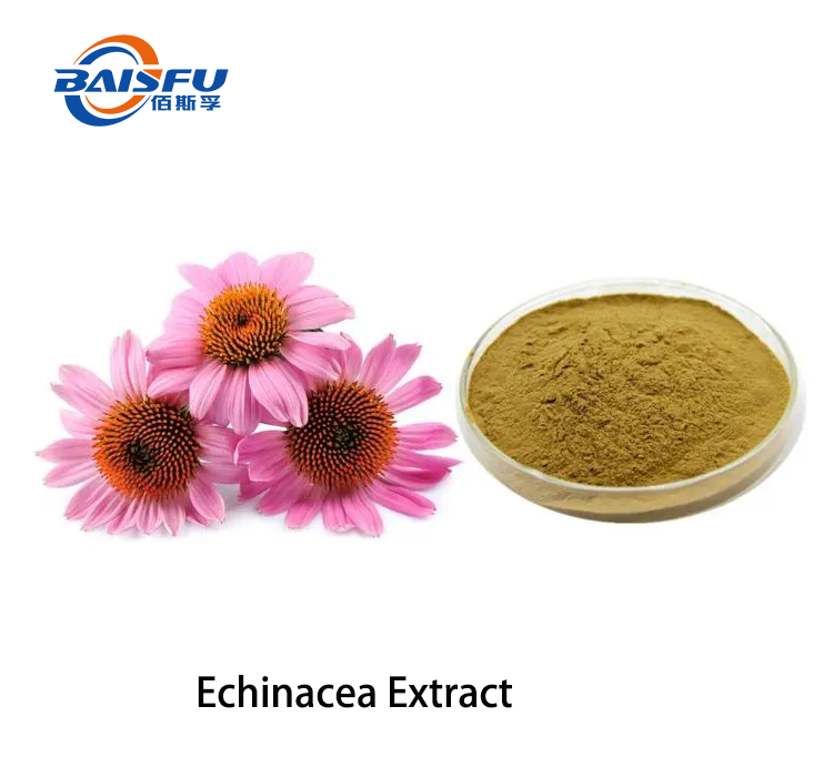 Echinacea Extract.png