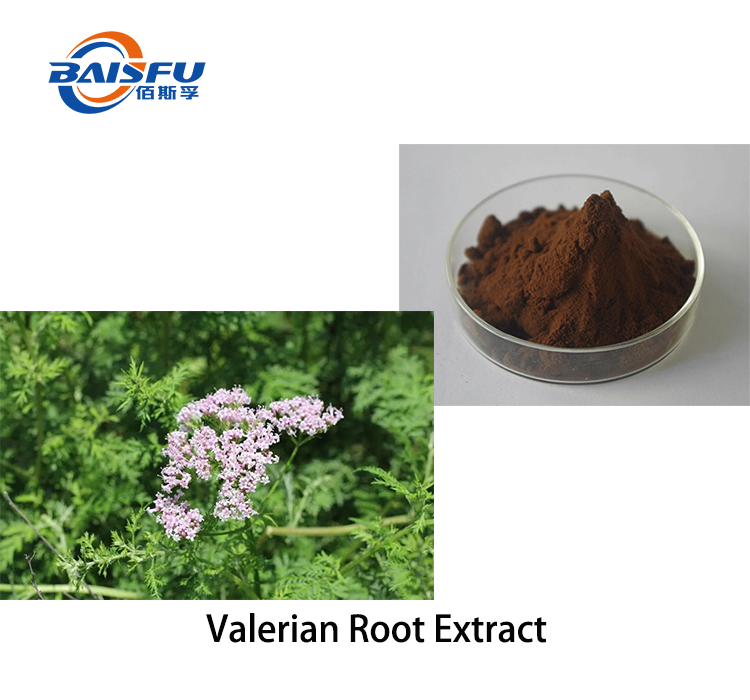 Valerian Root Extract.png