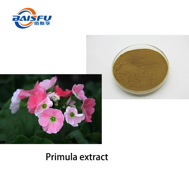 Primula extract 2.png