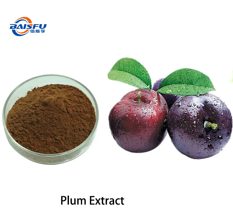 Plum Extract 2.png