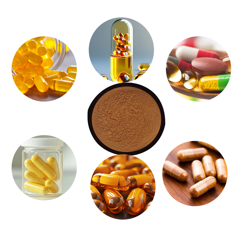 1764147118667865.jpg 123-马兜铃提取物--Dutchmanspipe-fruit-P.E-03.jpg