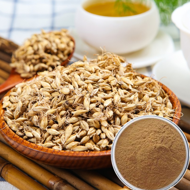 1764230086706498.jpg 125-大麦芽提取物-Fructus-Hordei-Germinatus-P.E-02.jpg