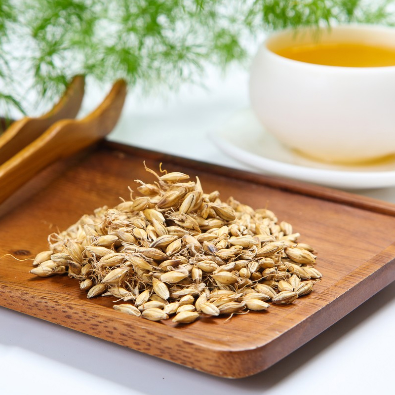 1764230670499661.jpg 125-大麦芽提取物-Fructus-Hordei-Germinatus-P.E-03.jpg