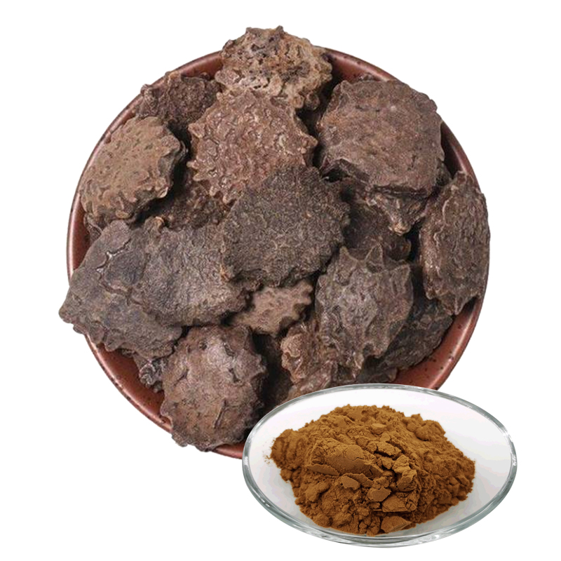 1764301417953607.jpg 130-木鳖子提取物-top-Cochinchina-Momordica.P-03.jpg