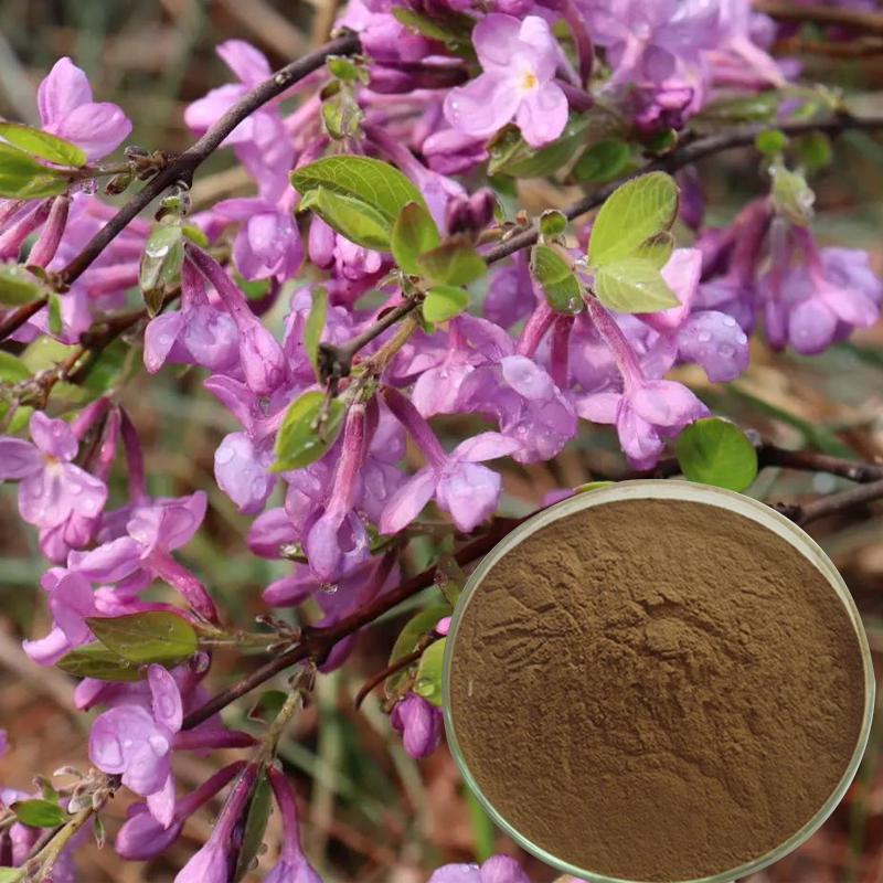 1764811975651994.jpg 144-芫花提取物-Lilac-Daphne-Flower-Bud-Extract-Powder-03.jpg