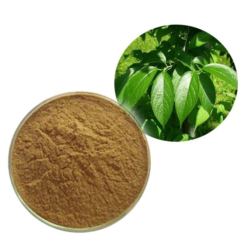 1765336444310375.jpg 154-杜仲叶提取物-top-quality-Eucommia-leaves-extract-033.jpg