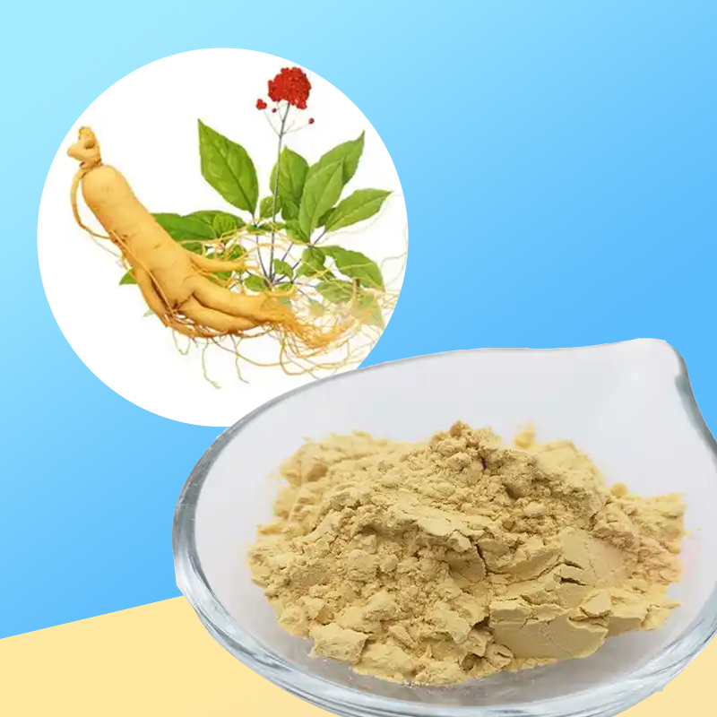 1766124886134837.jpg 167-人参提取物总皂苷80%UV (1).jpg