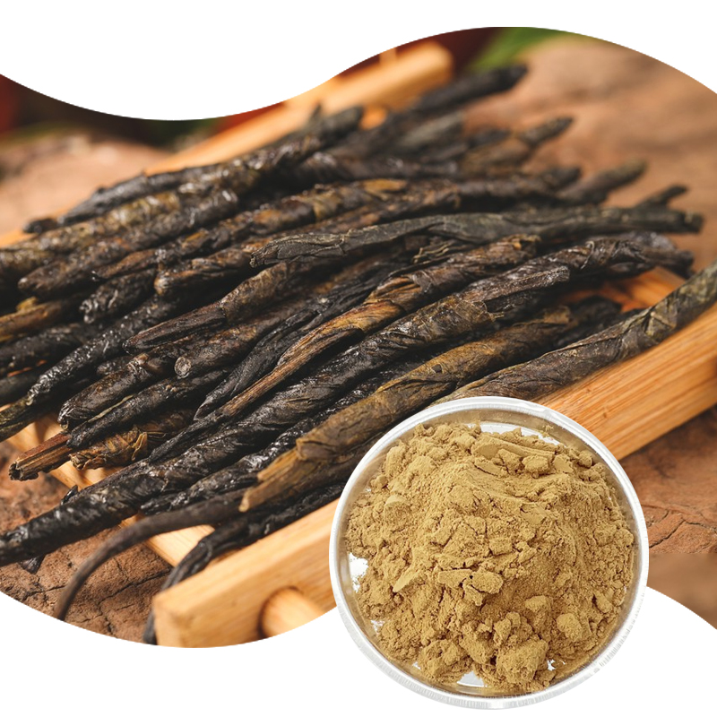 1766644443452642.jpg 196-苦丁茶提取物-Bitter-butyl-tea-03.jpg