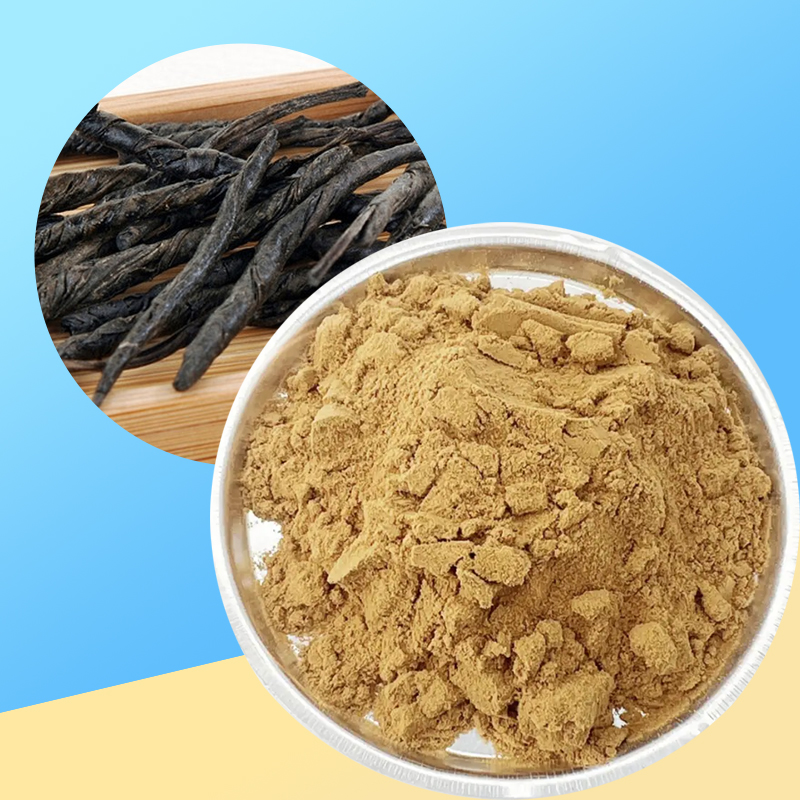 1766645396810581.jpg 196-苦丁茶提取物-Bitter-butyl-tea-02.jpg