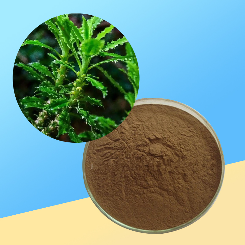 1766729258740259.jpg 184-石杉碱甲-huperzine-1%-02.jpg