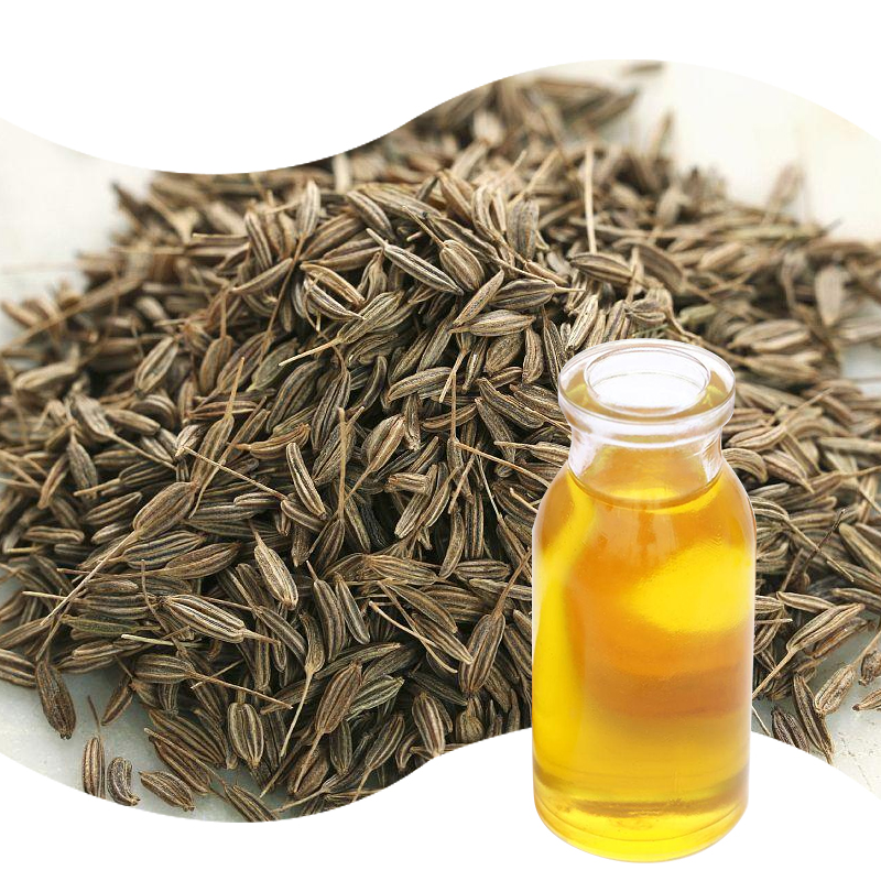 205-葛缕子油-Caraway Oil- (2).jpg