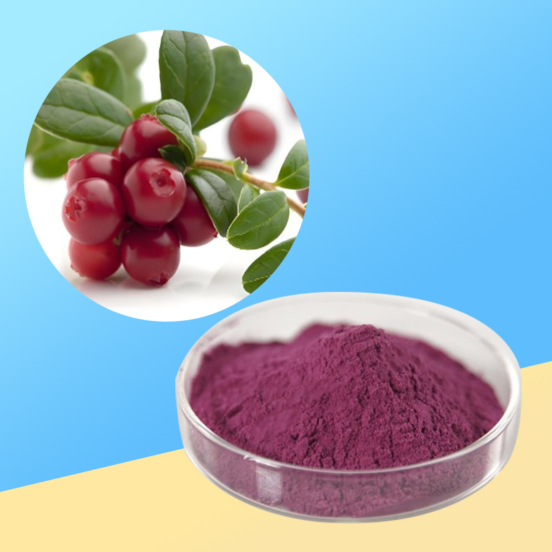 220-越橘提取物-Bilberry-extract-02.jpg