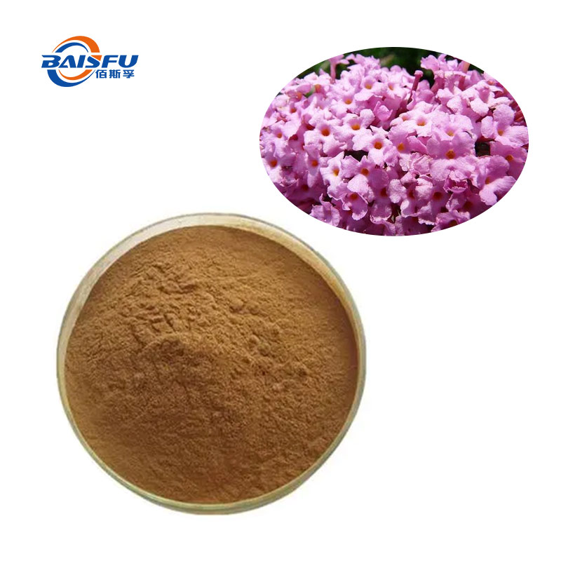 Buddleja Officinalis Flower Extract CAS20316-62-5