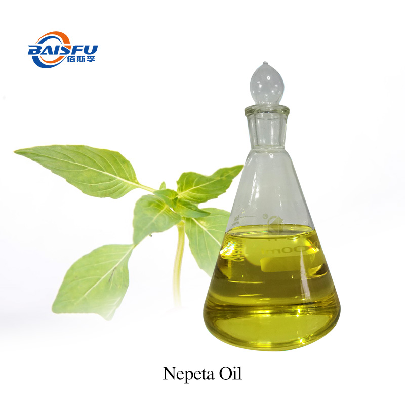 Nepeta Oil CAS 8006-99-3