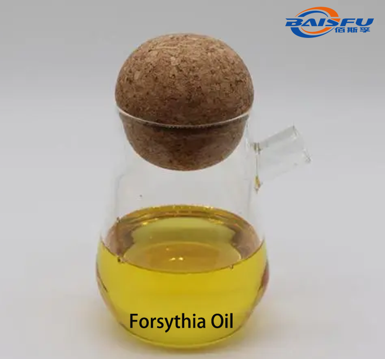 Forsythia Oil