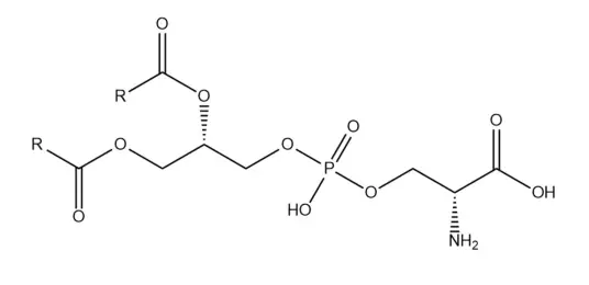 Phosphatidylserine