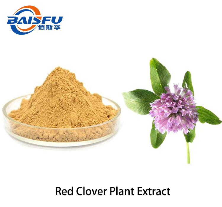 Red Clover Plant Extract