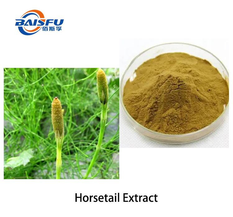 Horsetail Extract