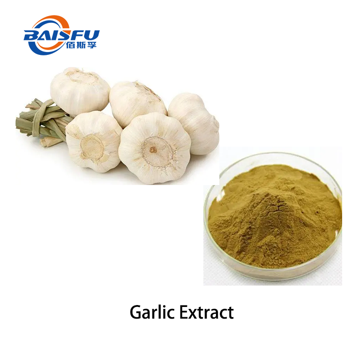 Garlic Extract