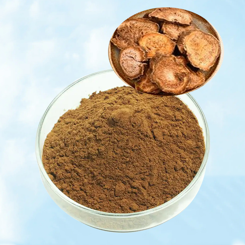 Baisfu Pure Nature Rhubarb Extract Rhein Powder Orange yellow powder Used In health product industry