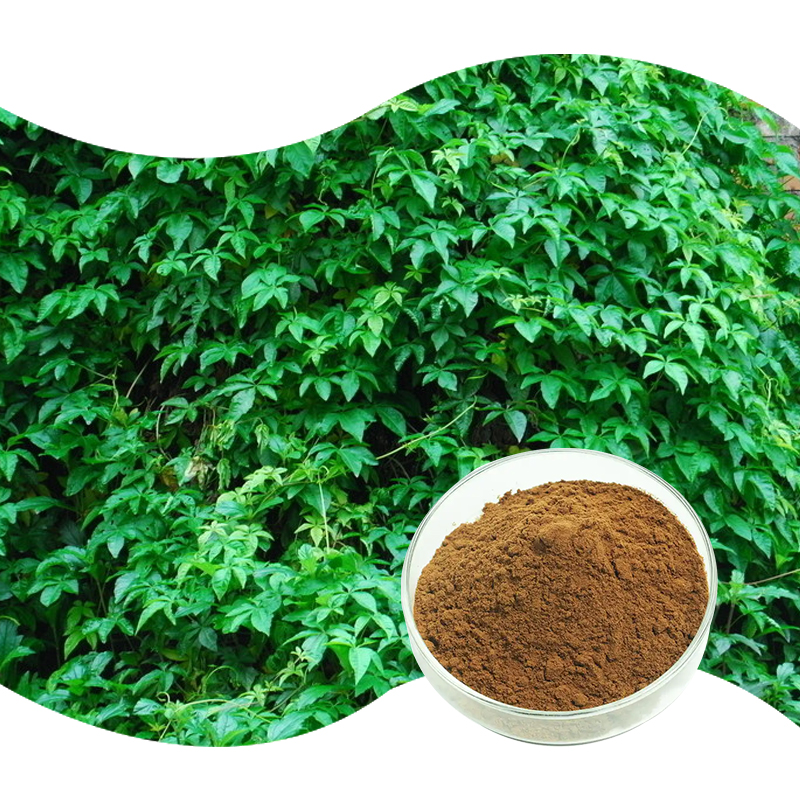 Baisfu Off-white powder Natural Sinomenium Acutum Extract 98% Sinomenine hcl  Sinomenine actum Rhd Extract Sinomenine CAS 115-53-7 used in health care products