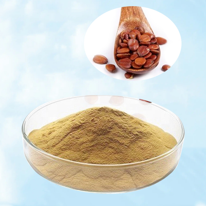 Baisfu high quality Brown Fine Powder 99% Spine Date Seed P.E. hot sell Jujube seed saponins  for Food and health supplements