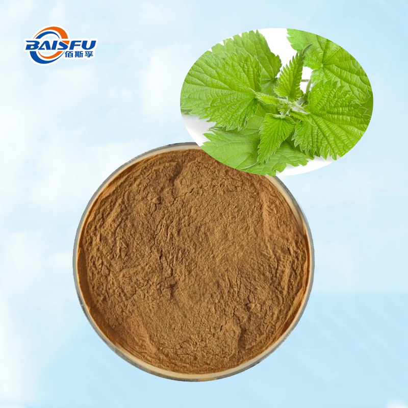 Baisfu concentration Nettle P.E. pure plant extract brown fine powder for Medicine and beauty care