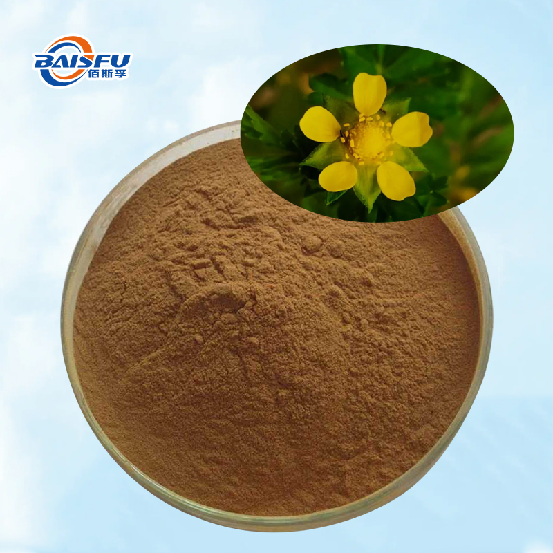 Baisfu best quality Cinquefoil Herb.P.E natural Brown yellow powder for Health supplements and cosmetics