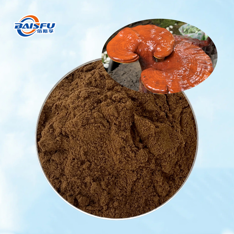 Baisfu Natural Maitake Mushroom Extract  best quality brownish yellow Fine powder for Health supplements and dietary supplements
