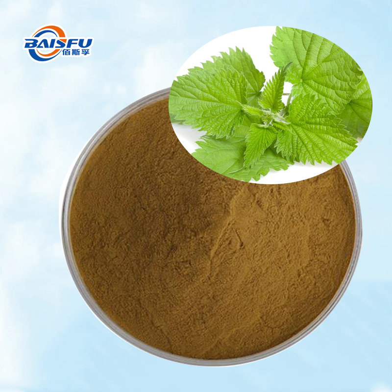 Baisfu High quality Nettle root extract  pure natural brown fine powder for Health supplements and food additive  ​