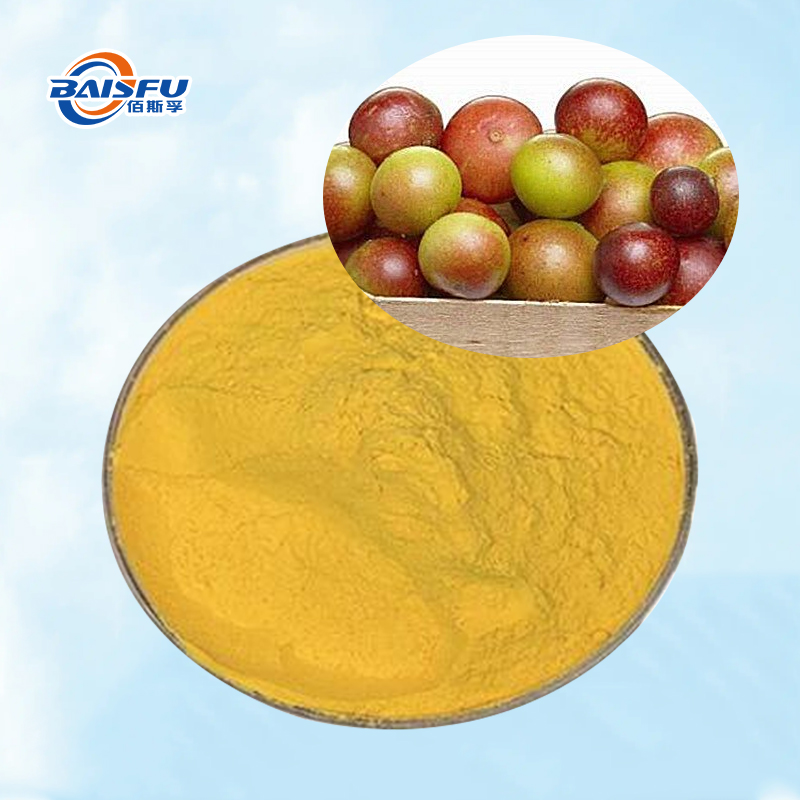 Baisfu Factory Sales Camu Powder High quality Orange-Yellow Fine Powder for Dietary Supplements and Functional Foods