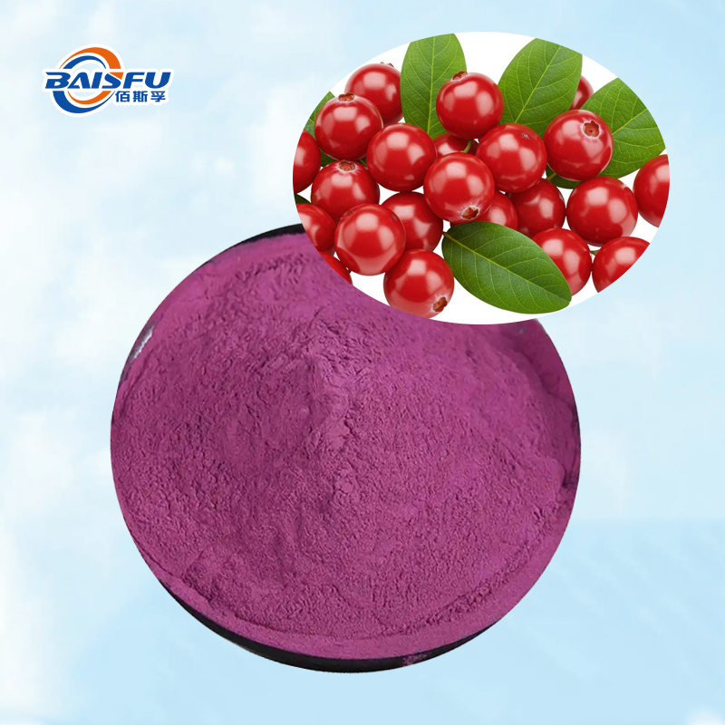 Baisfu Factory Sales Bilberry Extract High Quality Purple-Red Fine Powder for Dietary Supplements and Cosmetic