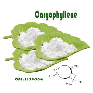 Citronella Oil CAS: 8000-29-1